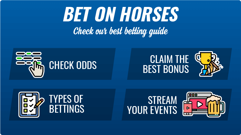 How to bet on horses