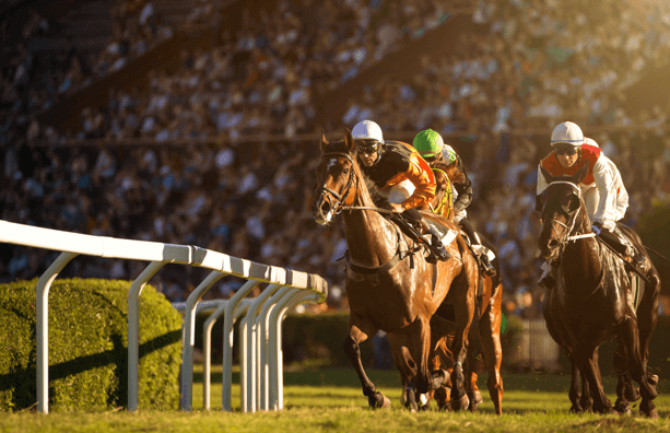 Horse Racing Betting