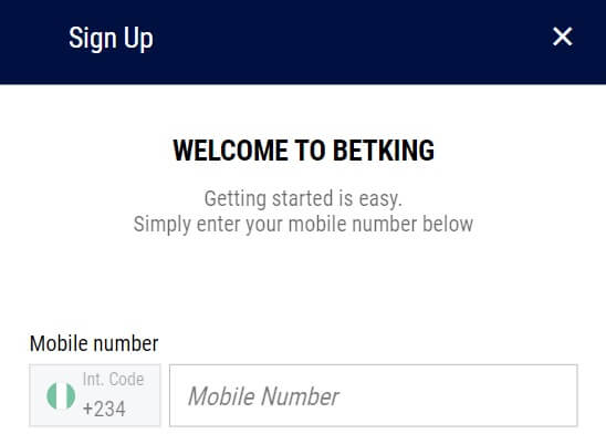 BetKing Registration Form