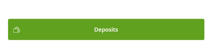 YesPlay Deposit Methods South Africa