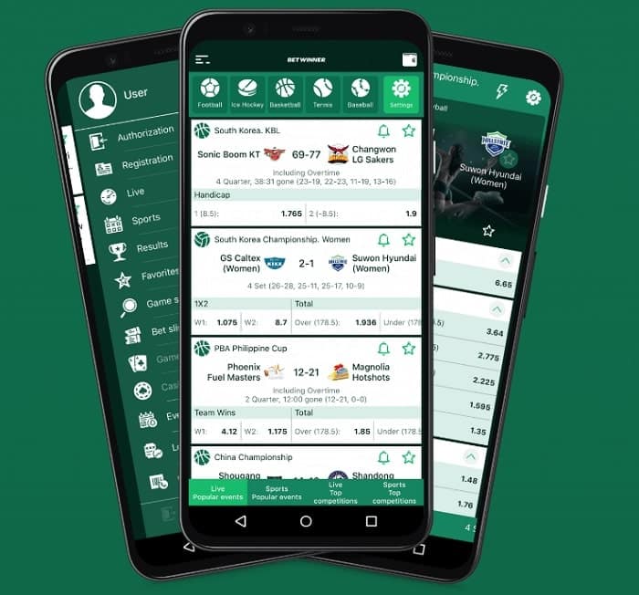 Version Mobile BetWinner