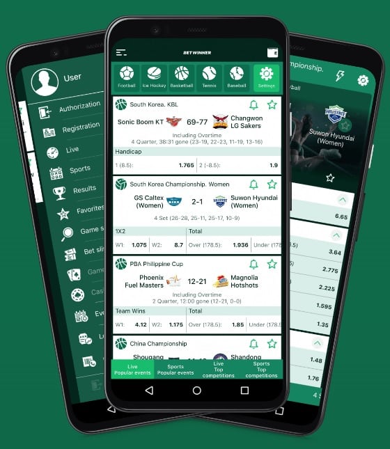 Application Mobile BetWinner