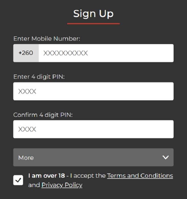 Registration Form BetLion